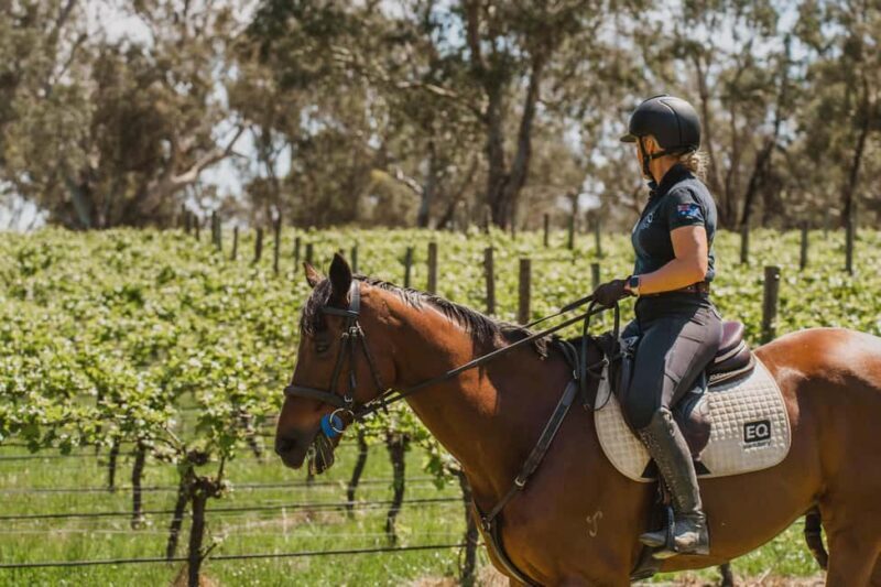 PETALUMA: VIP Equestrian & Private Wine Lunch with Olympian - FAQ