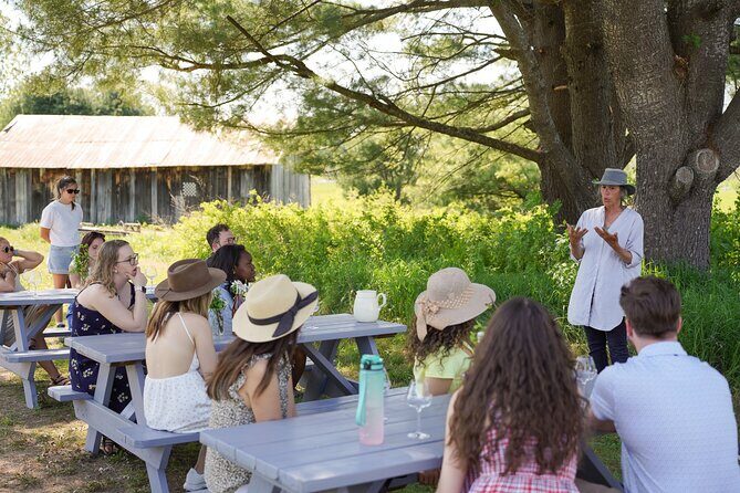 Petite Nation Wine & Cider Tour - Day Trip From Ottawa & Gatineau - Discovering the Charm of Petite Nation