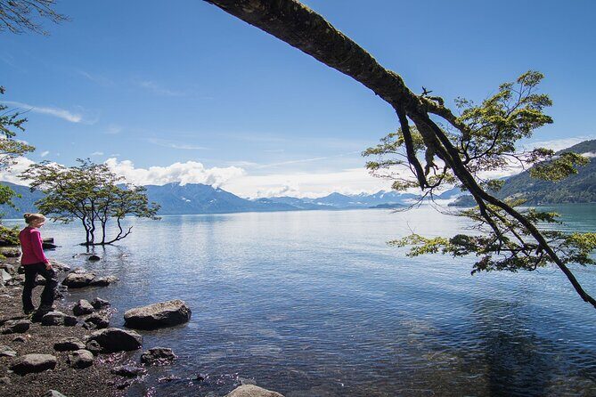 Petrohue Falls and Osorno Volcano Bike Tour - Unveiling the Petrohue Falls and Osorno Volcano Bike Tour