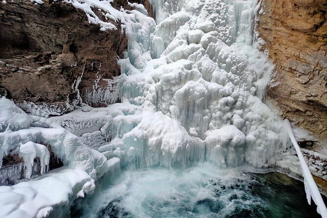 Peyto Lake Lake Louise Johnston Canyon Bow Lake from Calgary - Why This Tour Offers Good Value