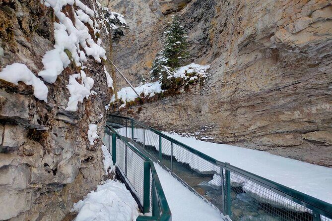 Peyto Lake Lake Louise Johnston Canyon Bow Lake from Calgary - Who Will Love This Tour?