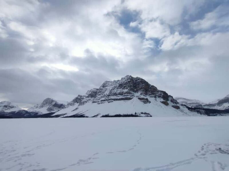 Peyto Lake Lake Louise Johnston Canyon Calgary/Canmore/Banff - Final Thoughts: Why Choose This Tour?
