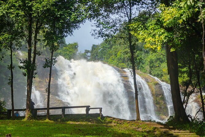 Pha Dok Siew Nature Trail & Doi Inthanon National Park From Chiang Mai - The Pha Dok Siew Trail: An Uphill Adventure