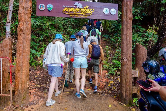 Pha Dok Siew Nature Trail & Doi Inthanon National Park From Chiang Mai - Practical Details and Tips