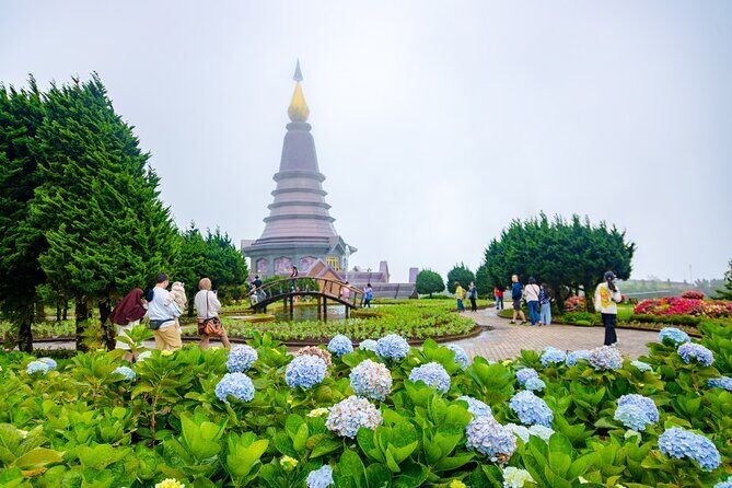 Pha Dok Siew Nature Trail & Doi Inthanon National Park From Chiang Mai - The Experience for Different Travelers