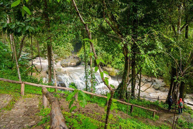 Pha Dok Siew Nature Trail & Doi Inthanon National Park From Chiang Mai - The Bottom Line: Who Will Love This Tour