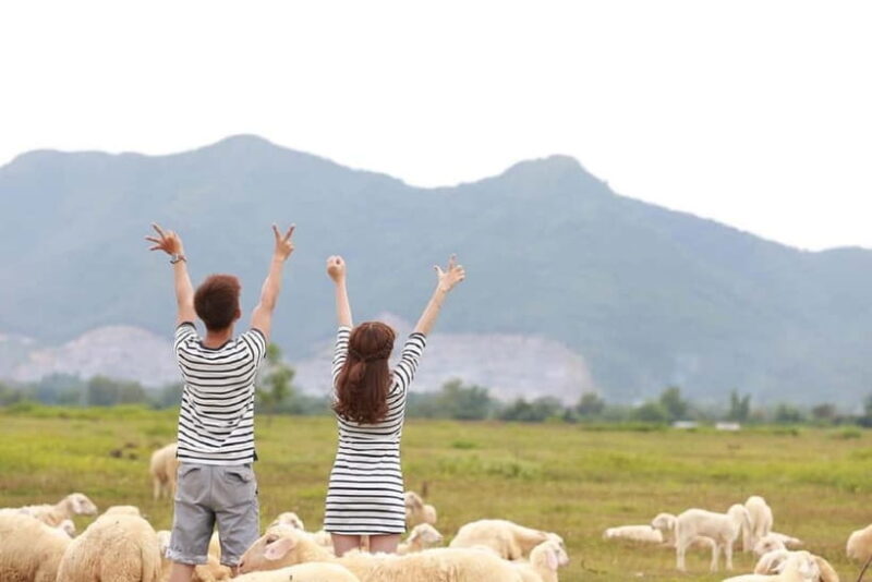 Phan Rang Full-Day: Hang Rai, Vinh Hy, Vineyard & Sheep Farm - A Closer Look at the Full-Day Experience