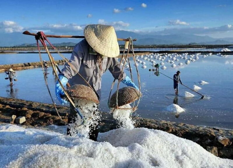 Phan Rang Full-Day: Hang Rai, Vinh Hy, Vineyard & Sheep Farm - Practical Details and What to Expect