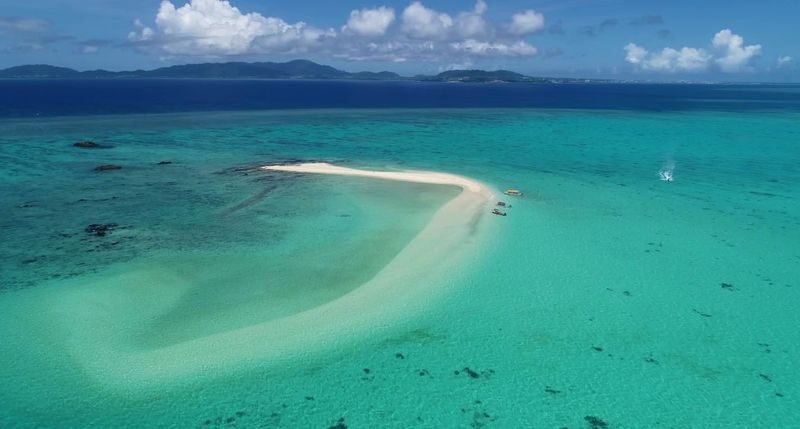 Phantom Island Landing & Snorkeling Half-Day Course - At a glance: the sandbar, snorkeling, and timing