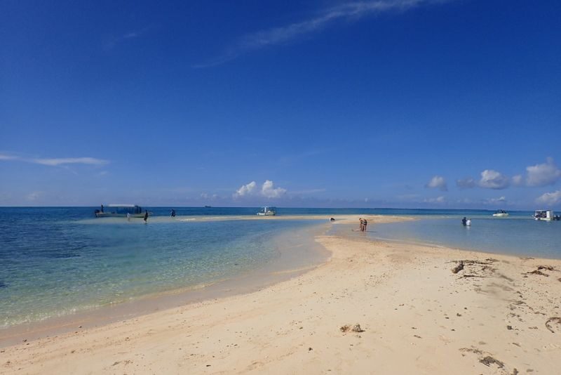 Phantom Island Landing & Snorkeling Half-Day Course - What the price includes, and what to bring