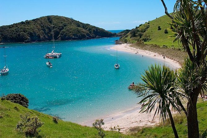 Phantom Sailing Bay of Islands - Who Should Consider This Tour?