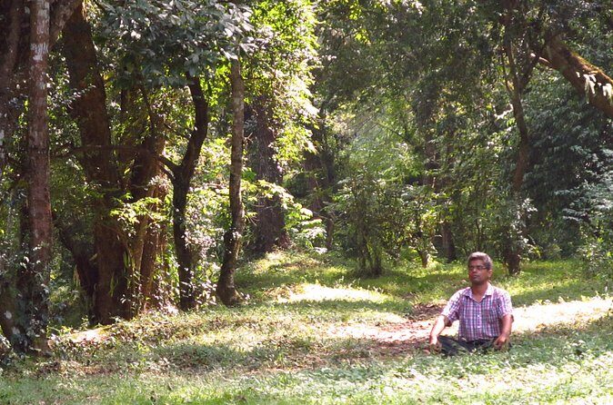 Pharping Asura Cave Meditation Tour - FAQs about the Pharping Asura Cave Meditation Tour