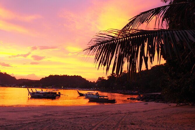 Phi Phi & 4 Islands Sunset Tour with Bioluminescent Plankton - Who Will Love This Tour?