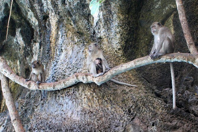 Phi Phi Don & Phi Phi Leh Sunset Trip by Arisa Speed Boat - Final Thoughts