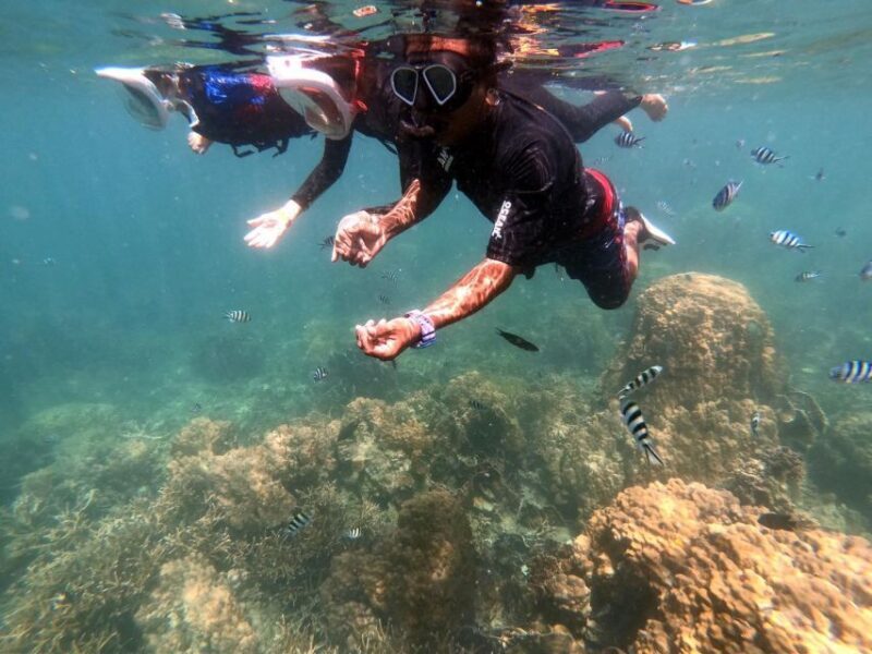 Phi Phi: Half-Day Phi Phi Snorkeling Trip by Longtail Boat - FAQ