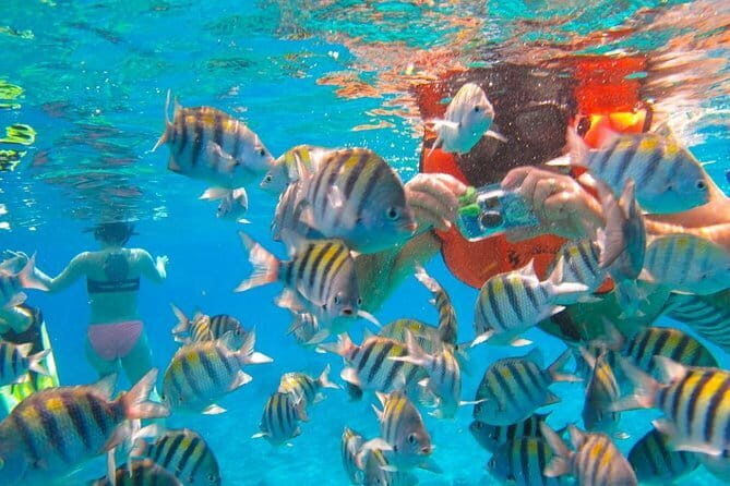 Phi Phi Half Day Tour Speed Boat Tour - A Closer Look at the Phi Phi Half Day Tour Speed Boat Experience