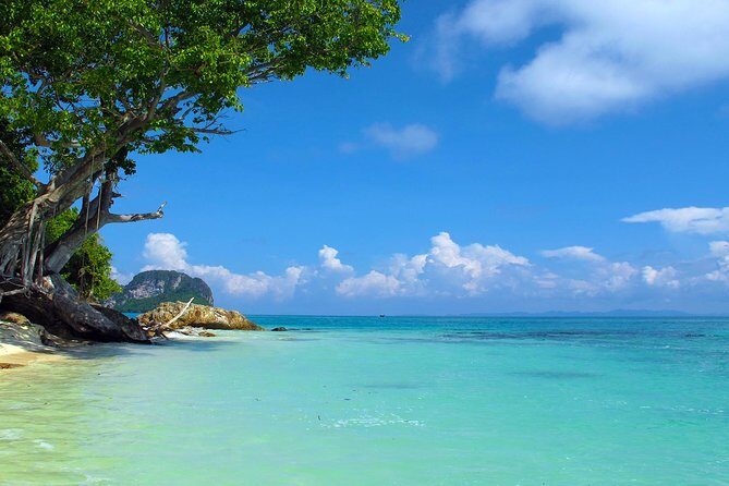 Phi Phi Island by Premium Speedboat with Lunch from Phuket - Final Thoughts