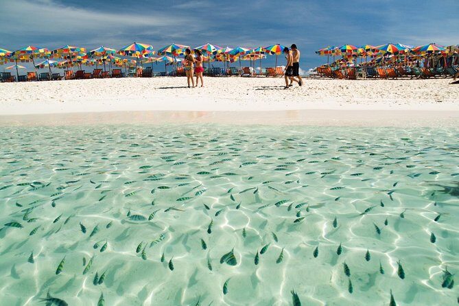 Phi Phi Island from Phuket by Speedboat (SHA Plus) - Final Thoughts