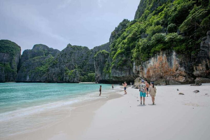 Phi Phi Island: Maya bay Sunset & Plankton by Speedboat - Key Points