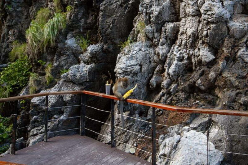 Phi Phi Island: Maya bay Sunset & Plankton by Speedboat - FAQ