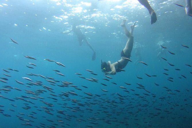 PHI PHI ISLAND - Sunrise Trip From Phi Phi Don By Phi Phi Local Tour - Snorkeling and Marine Life Encounters