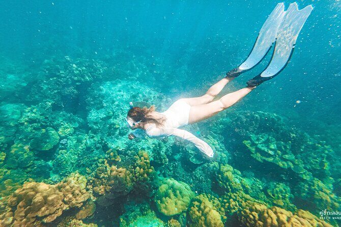 Phi Phi Islands Cruise with Lunch & Sea View Seats from Phuket - In-Depth Tour Review