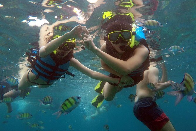 Phi Phi Islands Day Tour Bamboo and Maya Bay with Lunch By Speedboat - Who Is This Tour Best Suited For?