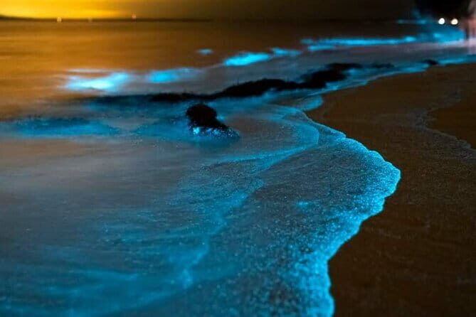 Phi Phi Islands Full Day Tour From Phuket - Who Would Love This Tour?