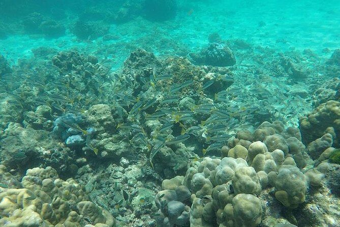 Phi Phi Islands One Day Tour by Speedboat From Phuket - Frequently Asked Questions