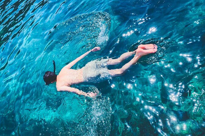 Phi Phi Islands Premium Day Trip Speedboat with Seaview Lunch by ALP Tour - Return Journey: From Paradise to Phuket