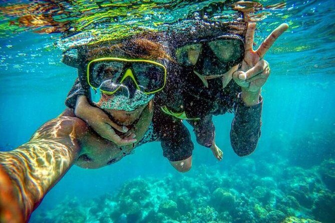 Phi Phi Islands Premium Day Trip Speedboat with Seaview Lunch by ALP Tour - Who Would Love This Trip?