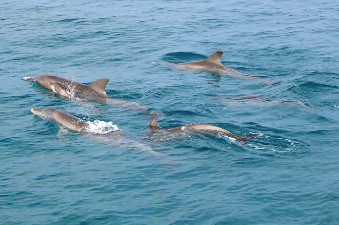 Phi Phi, Maiton, Khai Island Sunset Romantic Trip By Phuket Seahorse Marine - Practical Details and Value