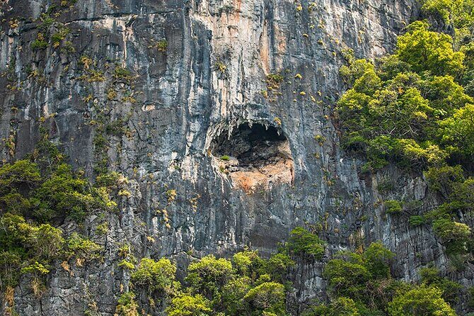 Phi Phi, Maya, Khai and Pileh Day Trip by Speed Catamaran From Phuket - FAQ