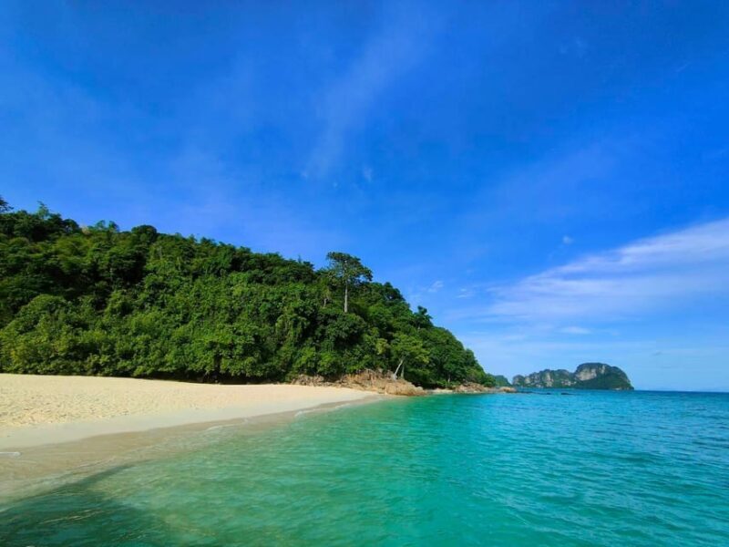 Phi Phi: One Day trip by Long Tail Boat (7 island) - Key Points
