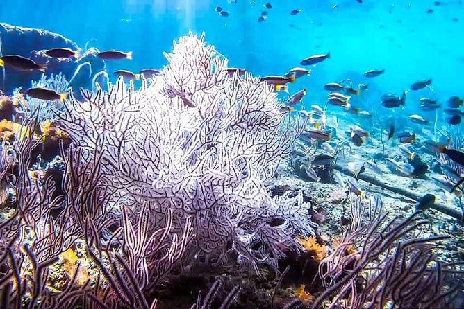 Phi Phi Tour from Krabi - Small Group of 12 - All Includes - Final Thoughts: Is This Tour Right for You?