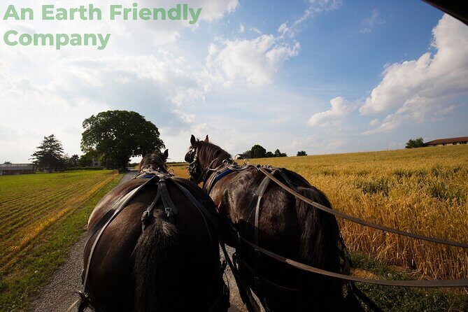 Philadelphia and Amish Country, 1-Day Tour from NYC - The Itinerary: A Close Look at Whats Included