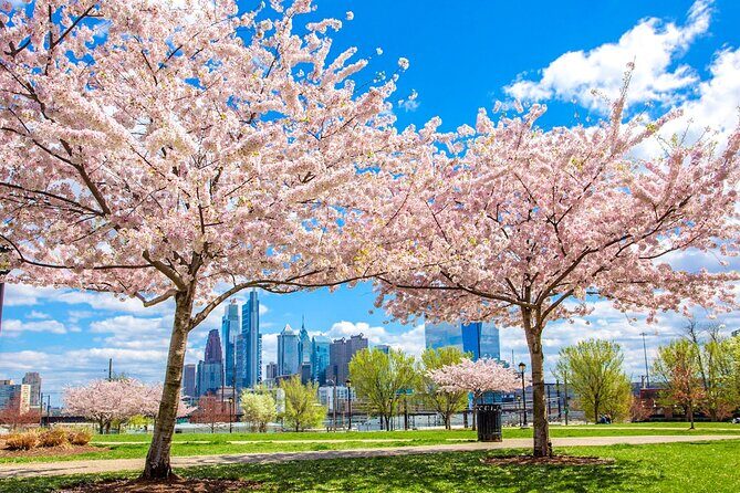 Philadelphia Cherry Blossom 1-Day Tour from New York - A Deep Dive into the Philadelphia Cherry Blossom Tour