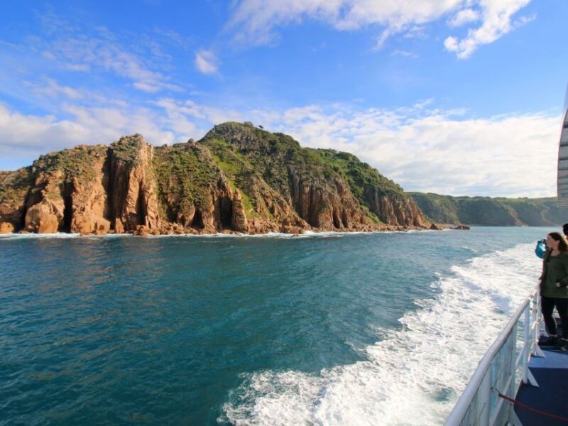 Philip Island: Dolphin and Whale Cruise - Final Thoughts