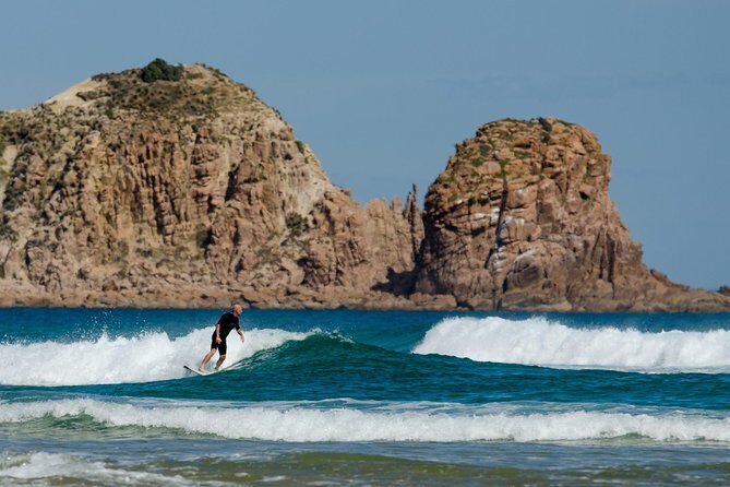 Phillip Island Day Trip from Melbourne with Penguin Plus Viewing Platform - Who Should Consider This Tour?