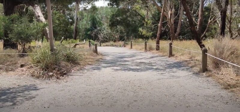 Phillip Island Driving Tour with an APP - Exploring Phillip Island: A Detailed Review
