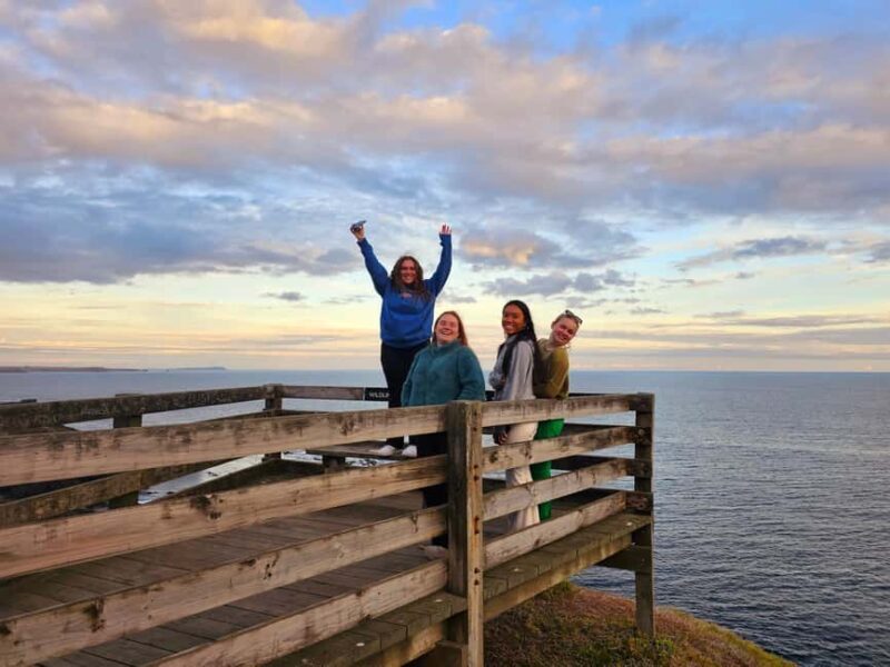 Phillip Island: Golden Hour Penguin Express Tour - Experience the Magic of Phillip Island’s Golden Hour Penguins