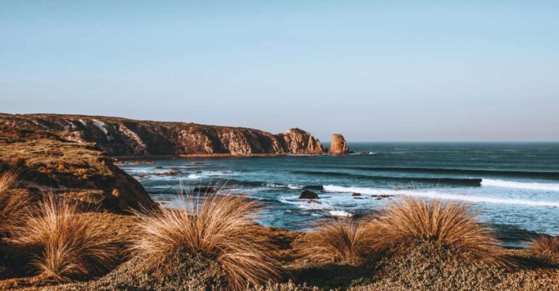 Phillip Island: Hike and Penguin Parade - 8 pax Small Tour - Who is This Tour Best For?