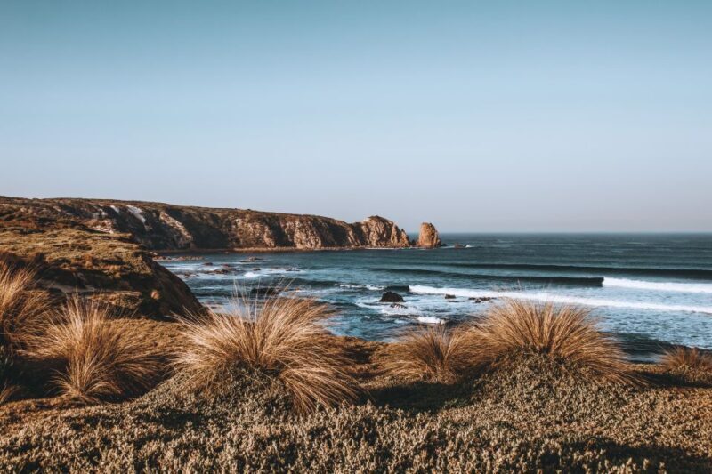 Phillip Island: Hike and Penguin Parade - 8 pax Small Tour - The Real Value of the Tour
