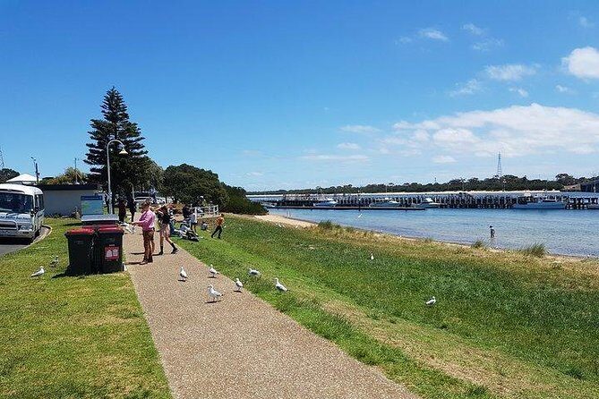 Phillip Island Penguin and wildlife Tour - Quick Return to Melbourne
