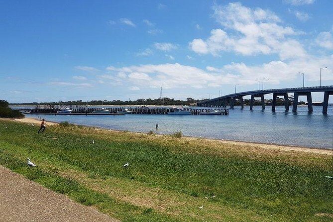 Phillip Island Penguin and wildlife Tour - Practical Considerations