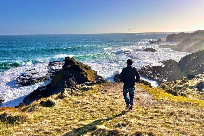 Phillip Island & Penguin Parade Afternoon Eco Tour from Melbourne - Why Choose This Tour?