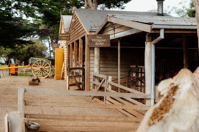 Phillip Island Penguin Parade and Churchill Island Farm Bus Tour - FAQ