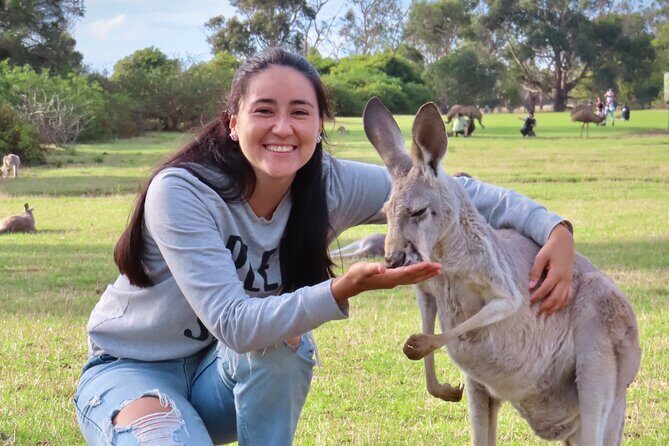 Phillip Island Penguin Parade and Wildlife Tour from Melbourne - A Detailed Look at the Phillip Island Wildlife Tour