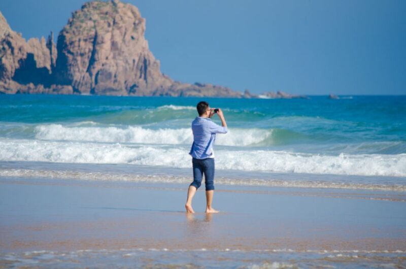 Phillip Island: Penguins and Wildlife Full-Day Tour - Key Points