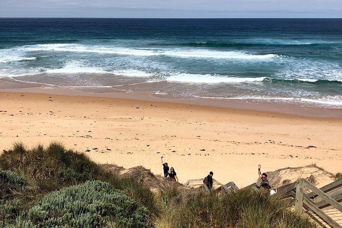Phillip Island Penguins Private Adventure - Key Points